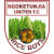 Ngoketunjia United FC