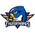 Springfield Thunderbirds