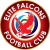 Elite Falcons FC