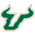 South Florida Bulls University