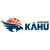 Northern Kahu