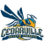 Cedarville University