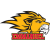 Emmanuel College Lions