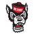 North Carolina State Wolfpack