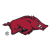 Arkansas Razorbacks