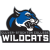 Culver-Stockton Wildcats