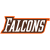 Bowling Green Falcons