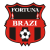 CS Fortuna Brazi