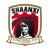 Shaanxi Beyond Football Club